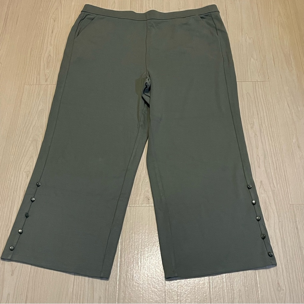 Isaac Mizrahi Live Olive Green Knit Pants Woman’s US Size 1XP NWOT